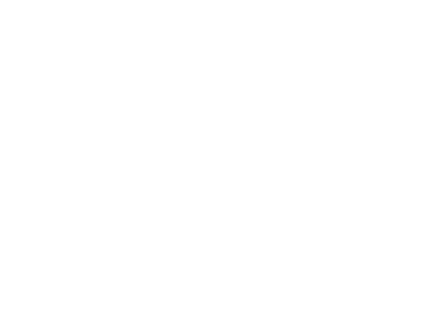 BOMBAY DREAMS