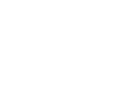 BRAZA